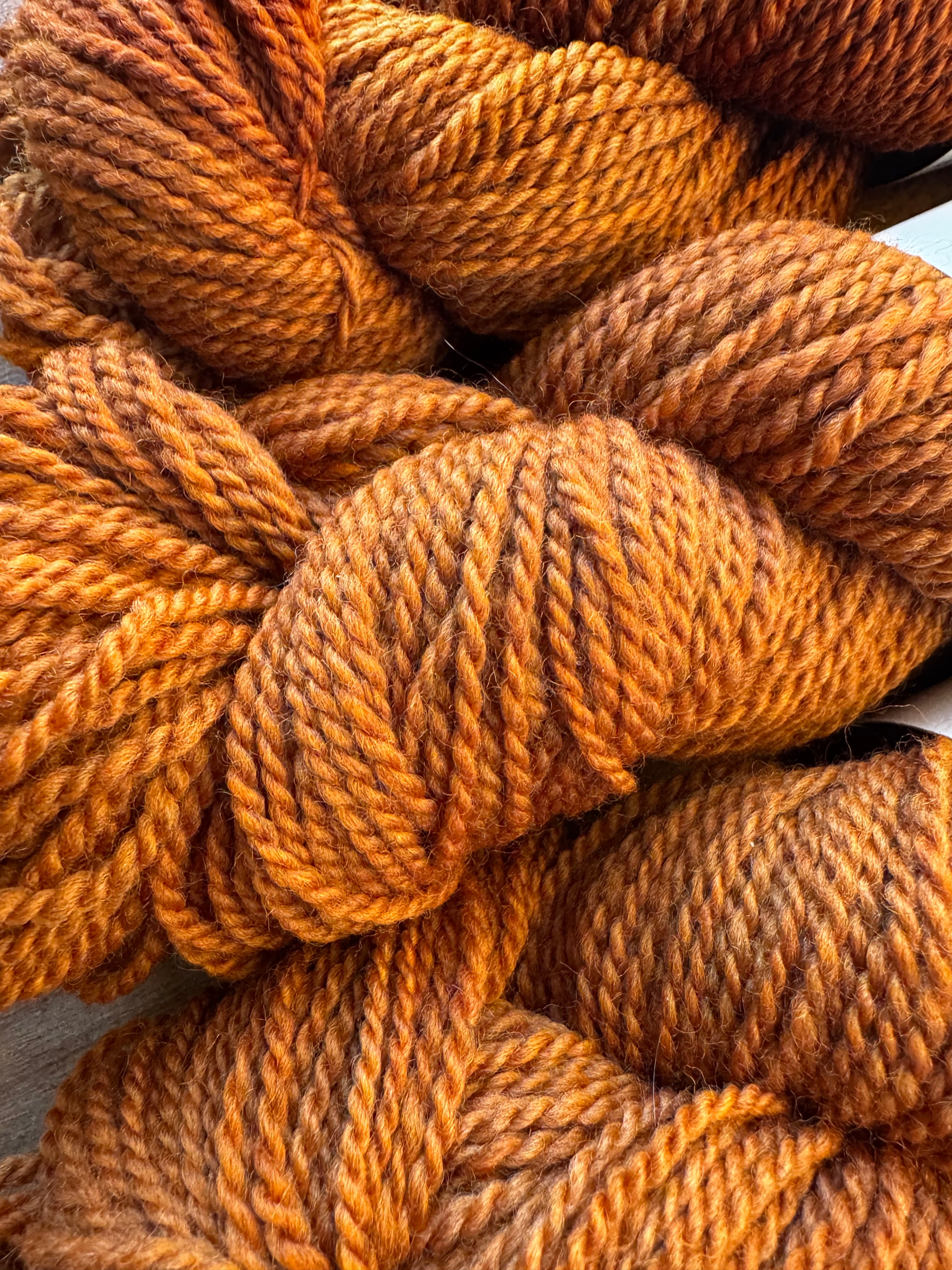 Steadfast in Butternut Squash