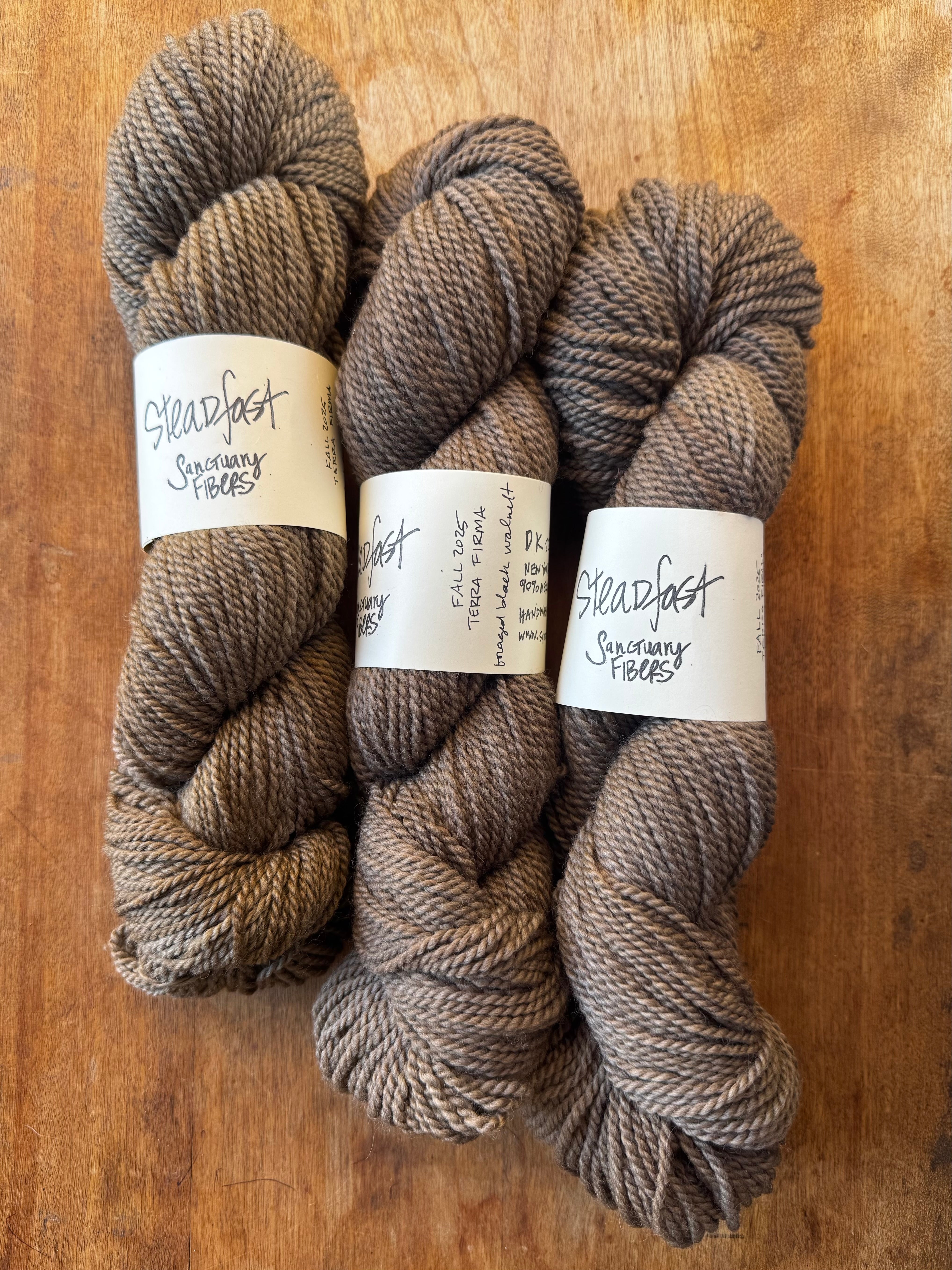 Steadfast in Terra Firma