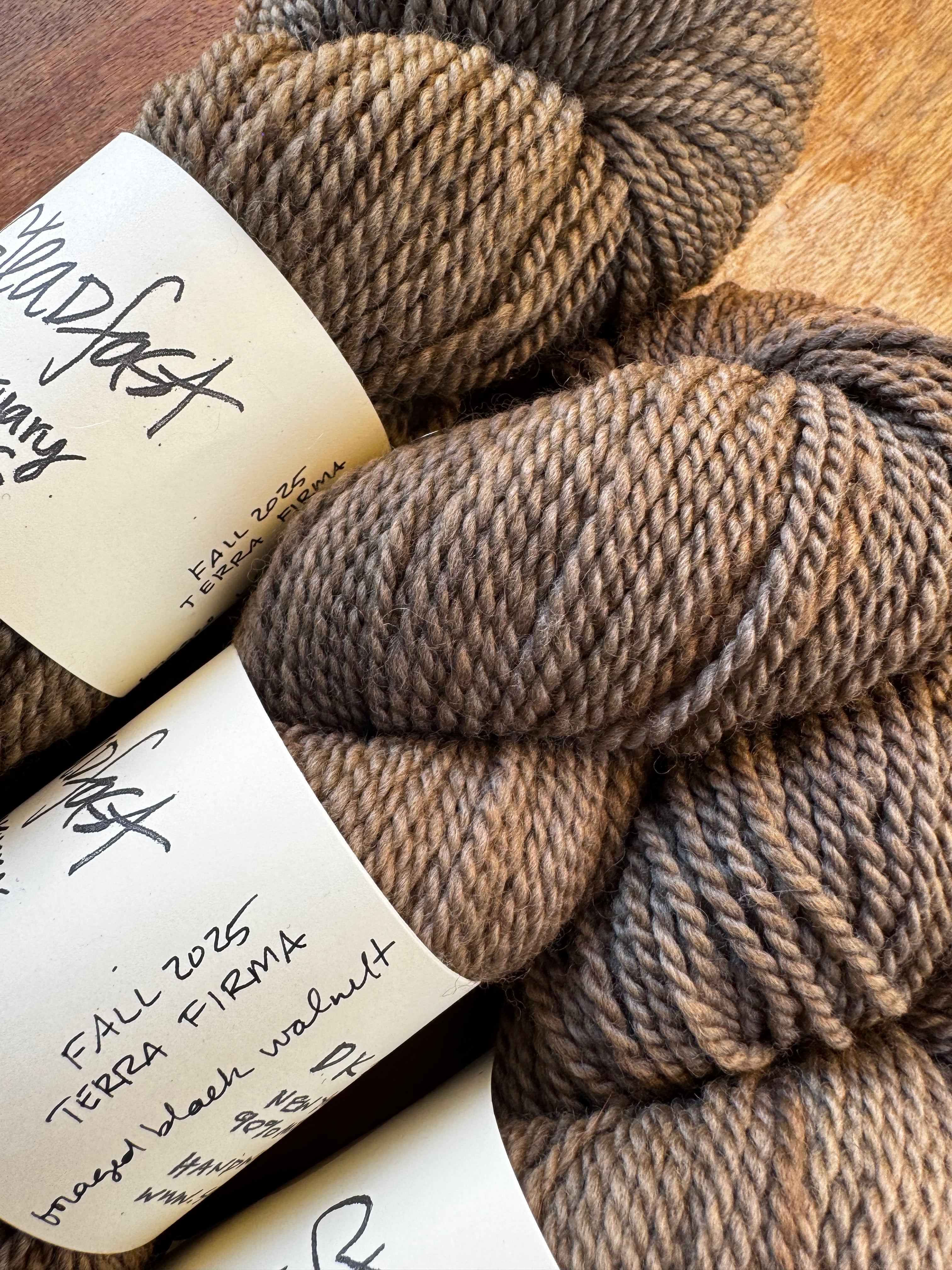 Steadfast in Terra Firma