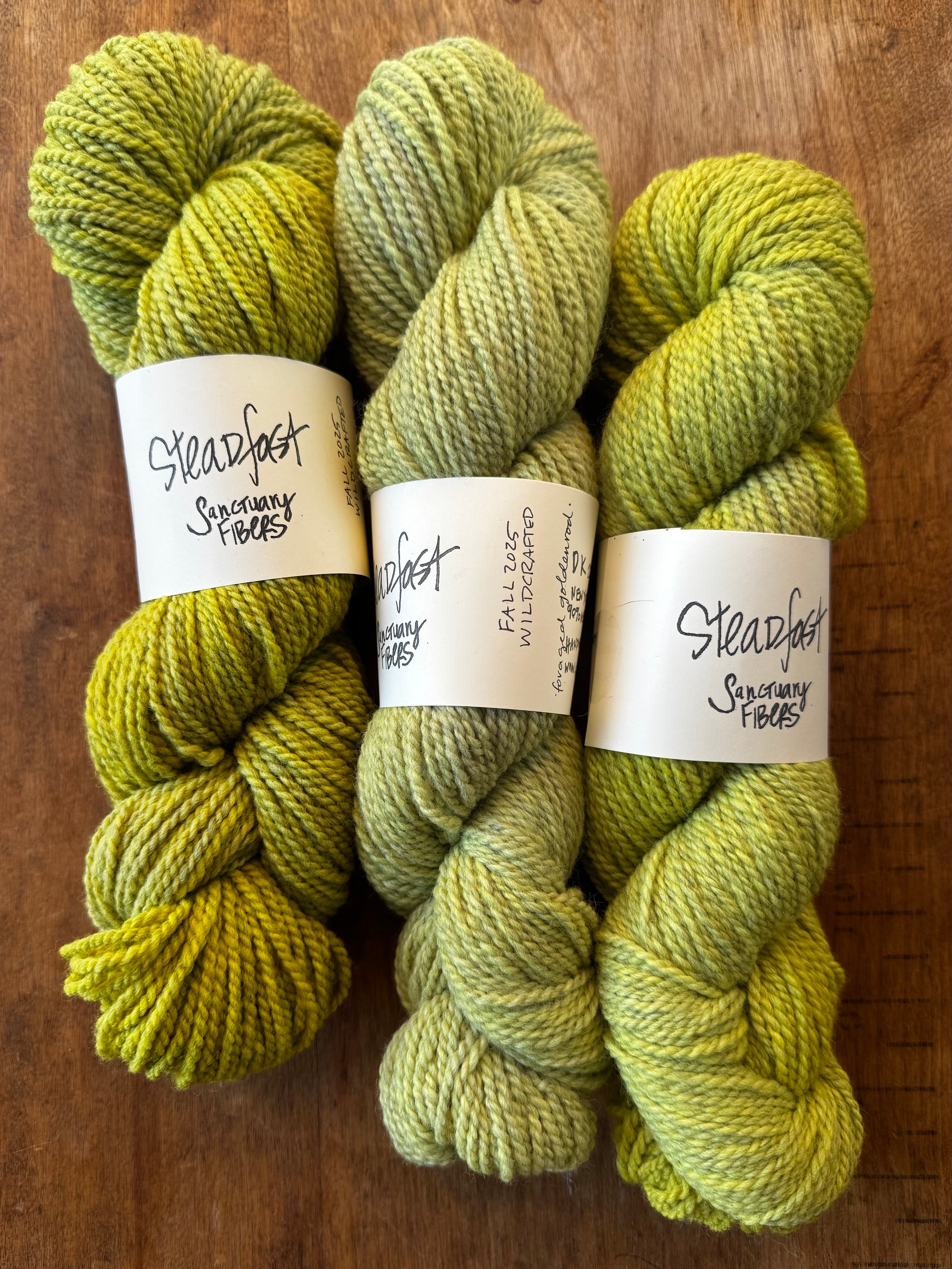 Steadfast in Wildcrafted