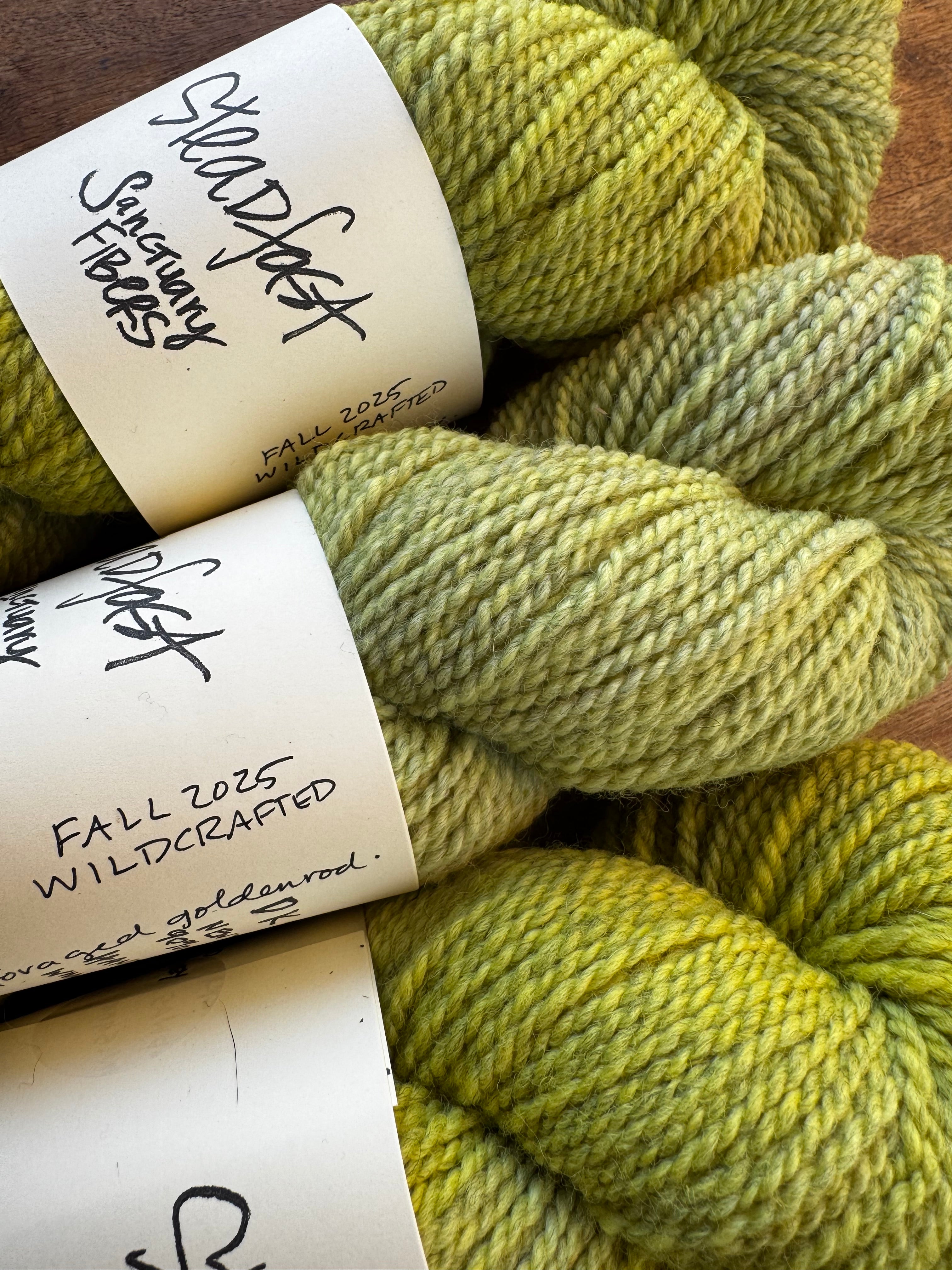 Steadfast in Wildcrafted