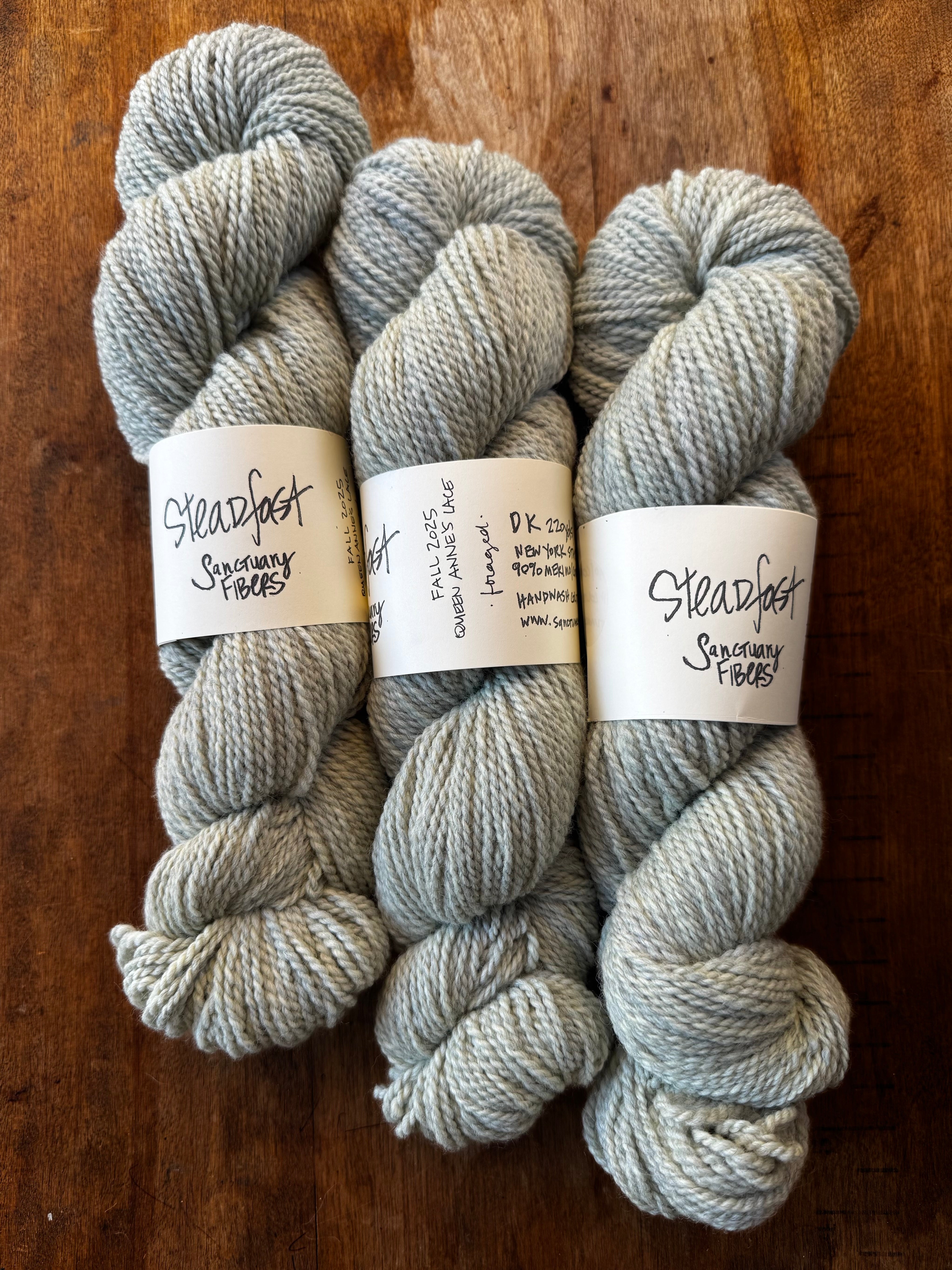 Steadfast in Queen Anne's Lace