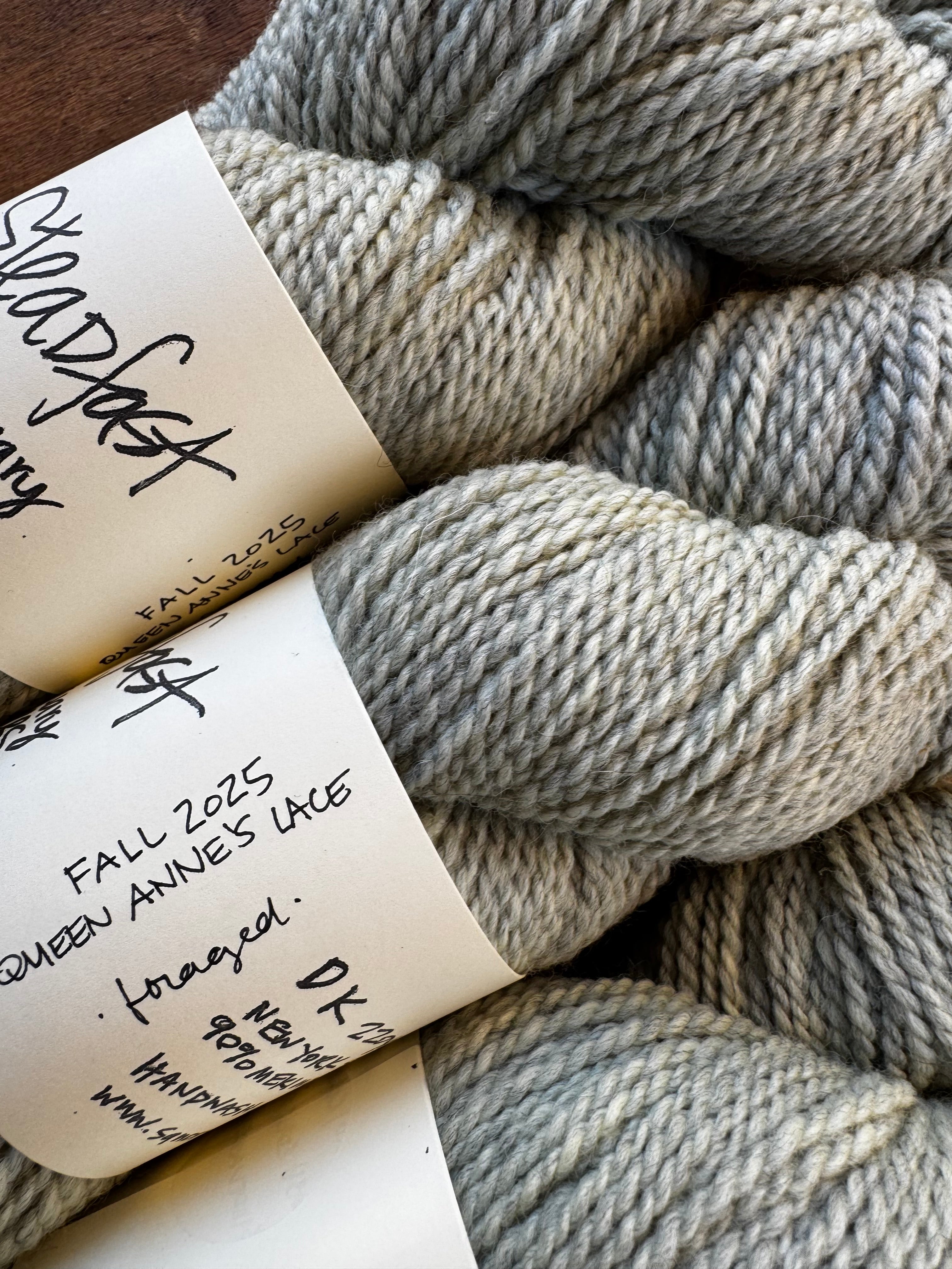 Steadfast in Queen Anne's Lace