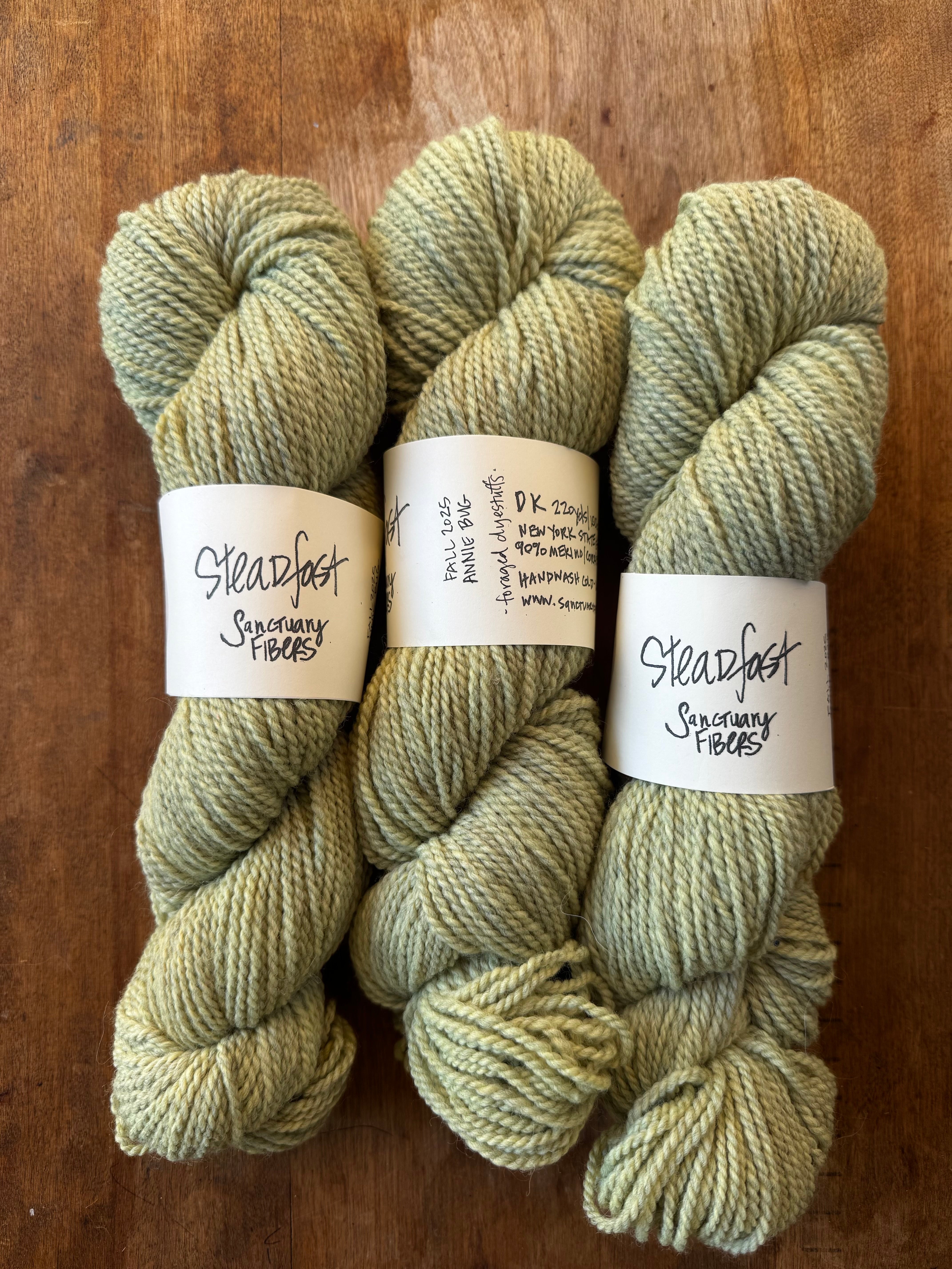 Steadfast in Annie Bug