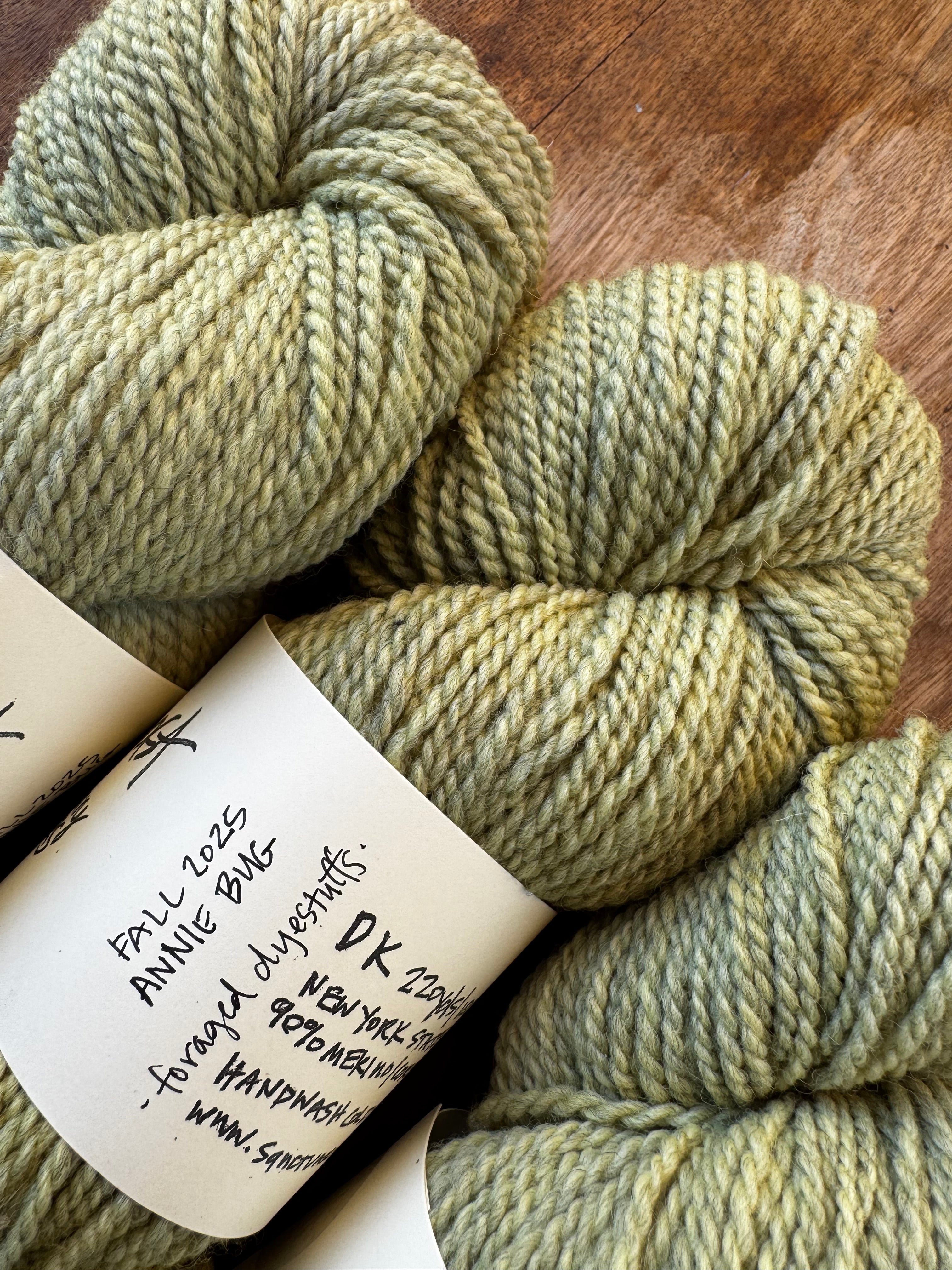 Steadfast in Annie Bug