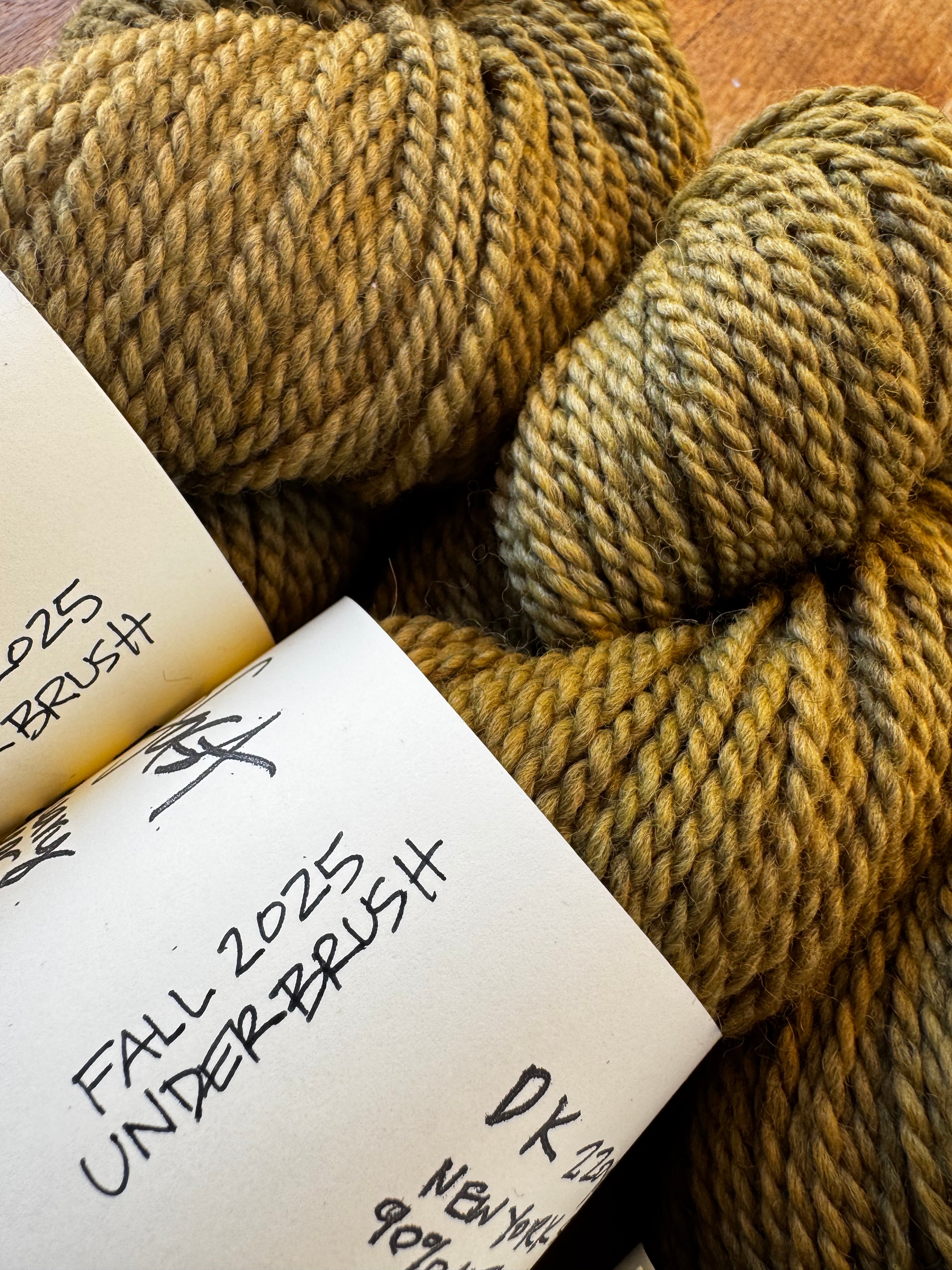 Steadfast in Underbrush