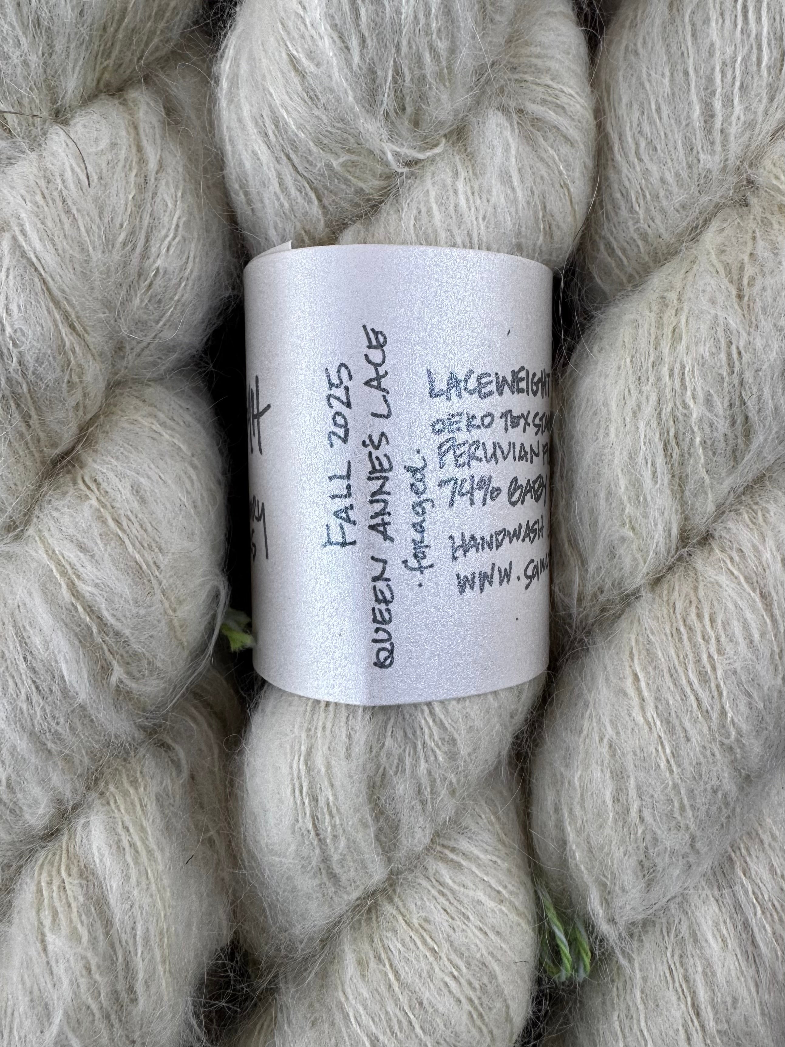 Shugah in Queen Anne's Lace