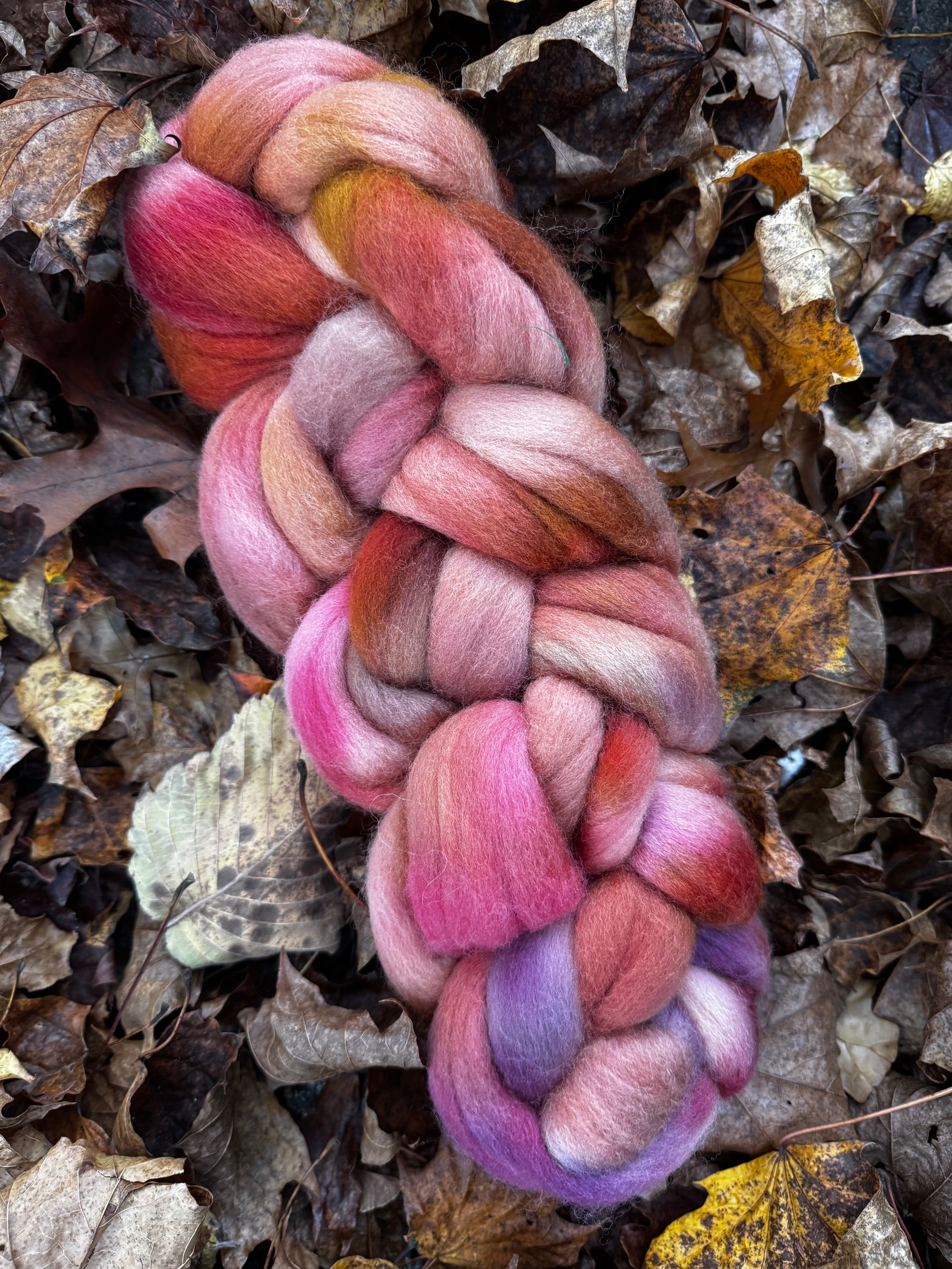 Safe Haven in Autumn No. 1 Autumnal