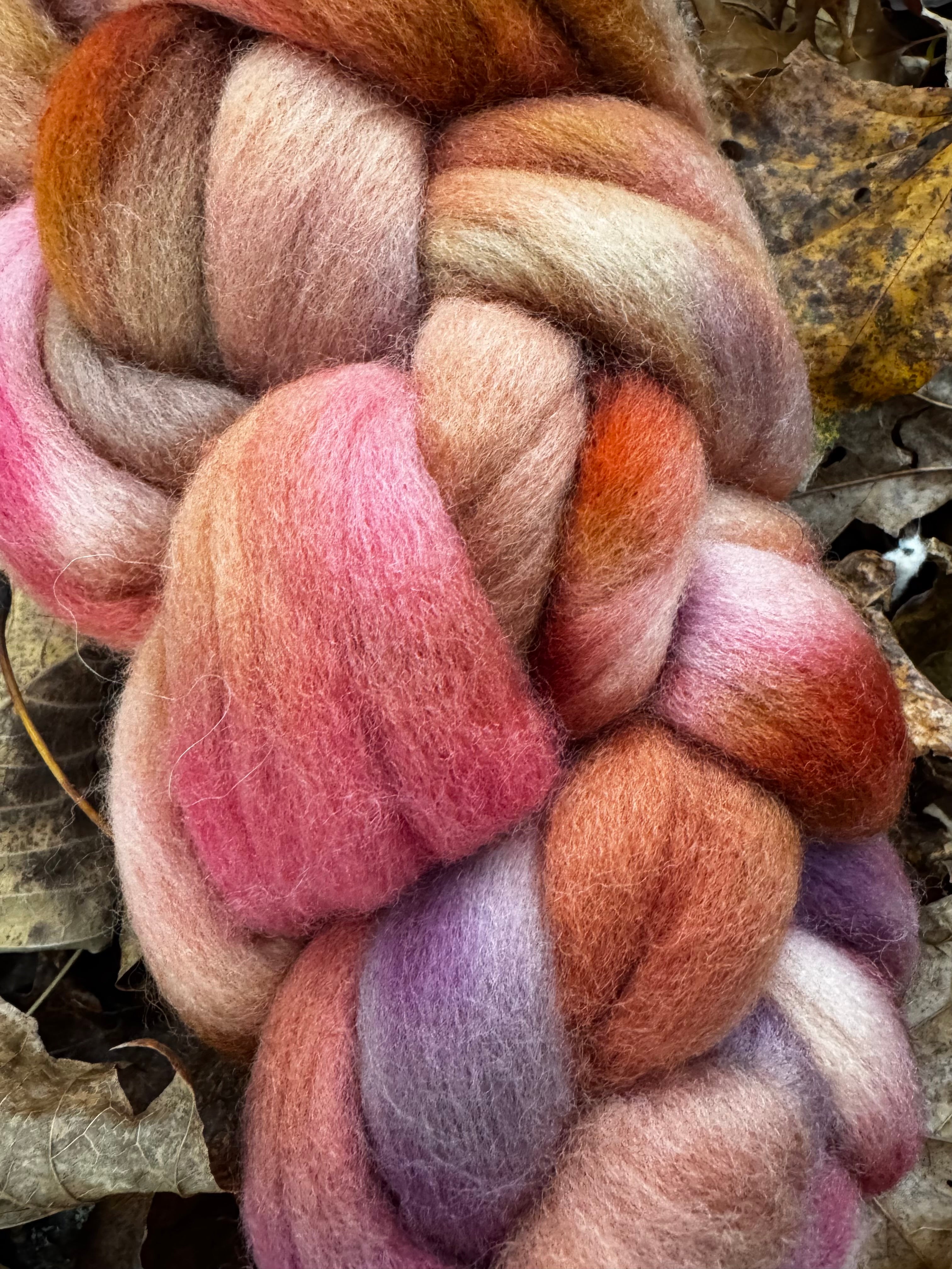 Safe Haven in Autumn No. 1 Autumnal