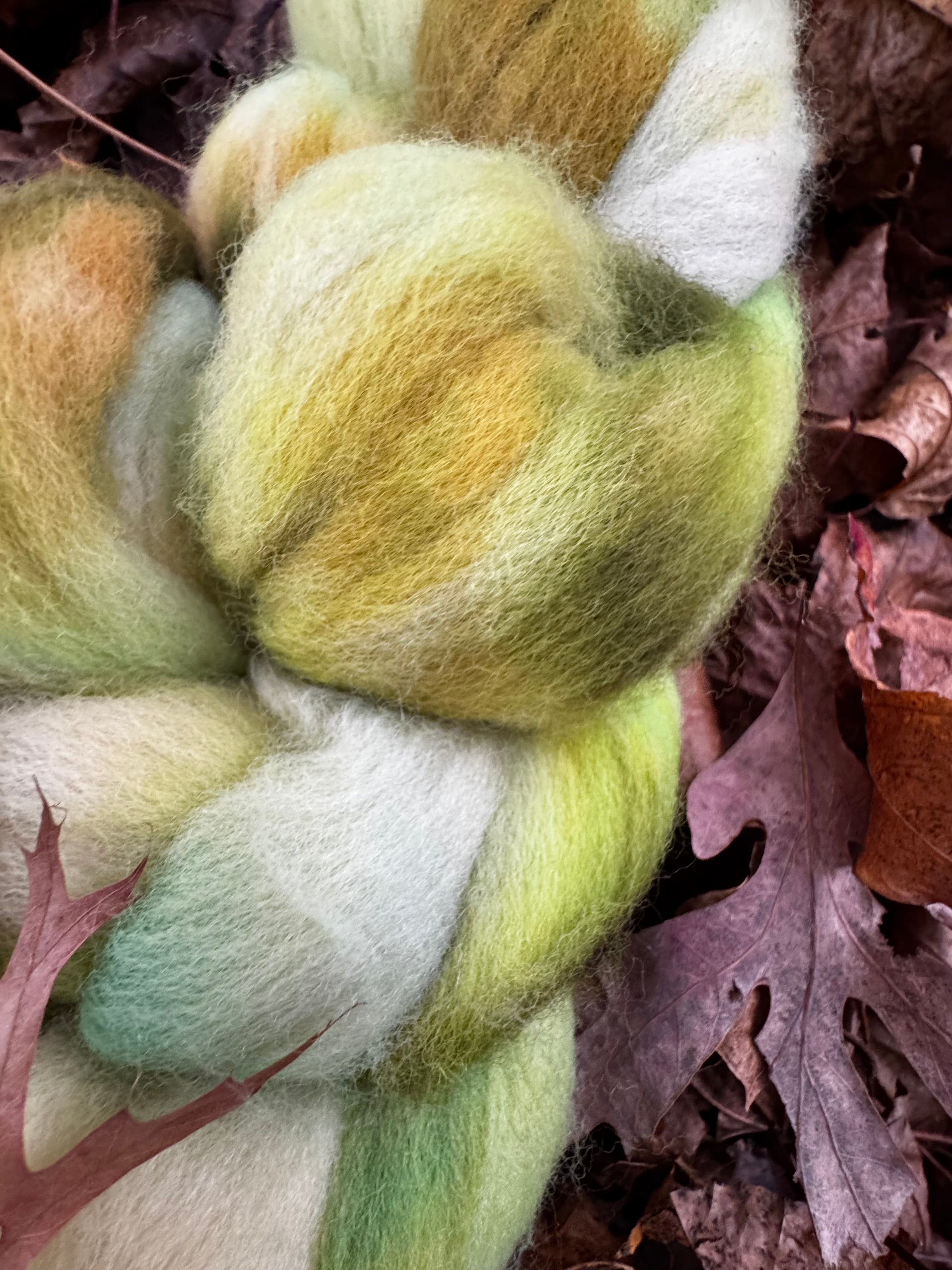 Safe Haven in Autumn No. 5 Bright Foliage