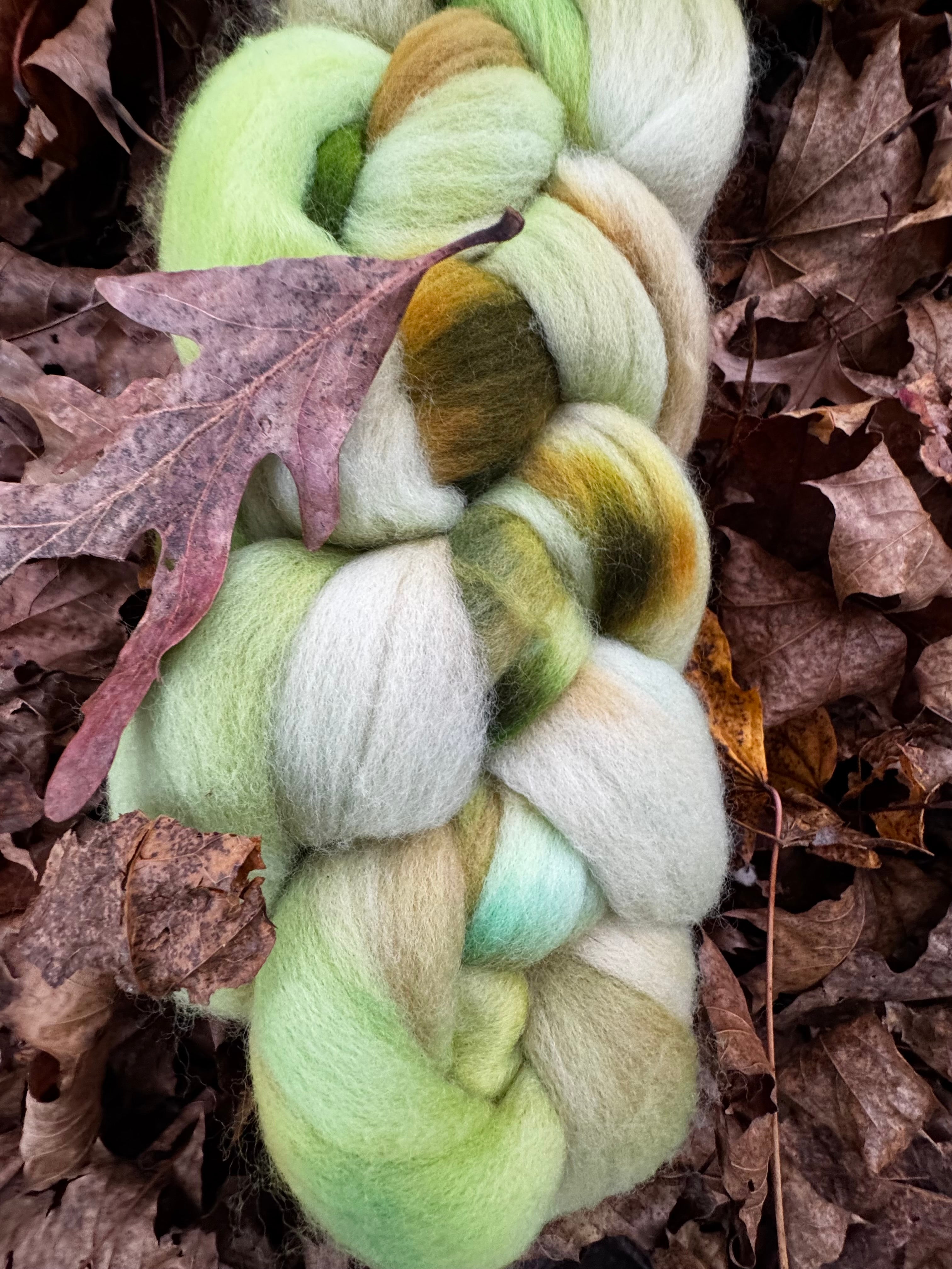 Safe Haven in Autumn No. 5 Bright Foliage