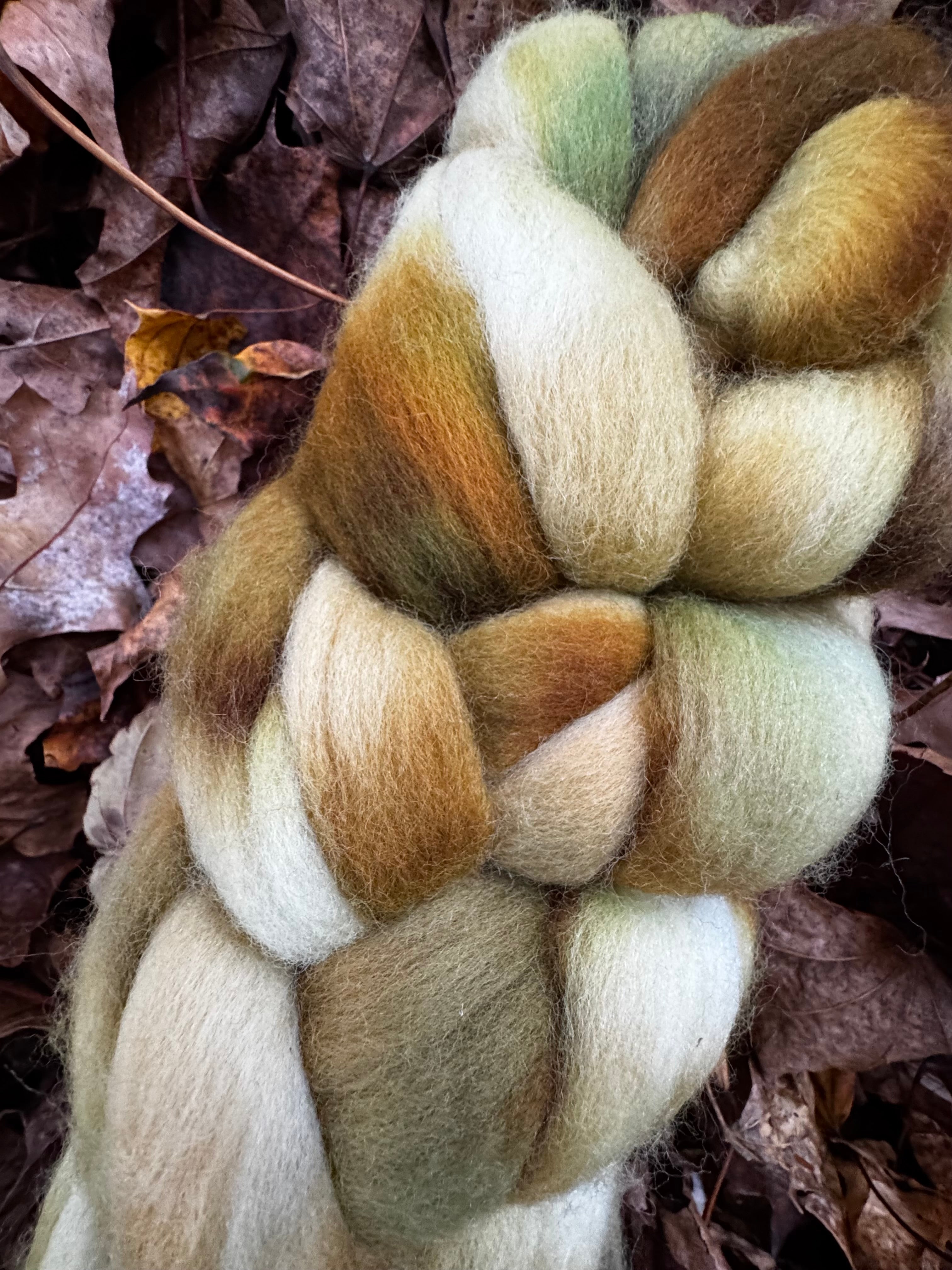 Safe Haven in Autumn No. 6 Dark Foliage