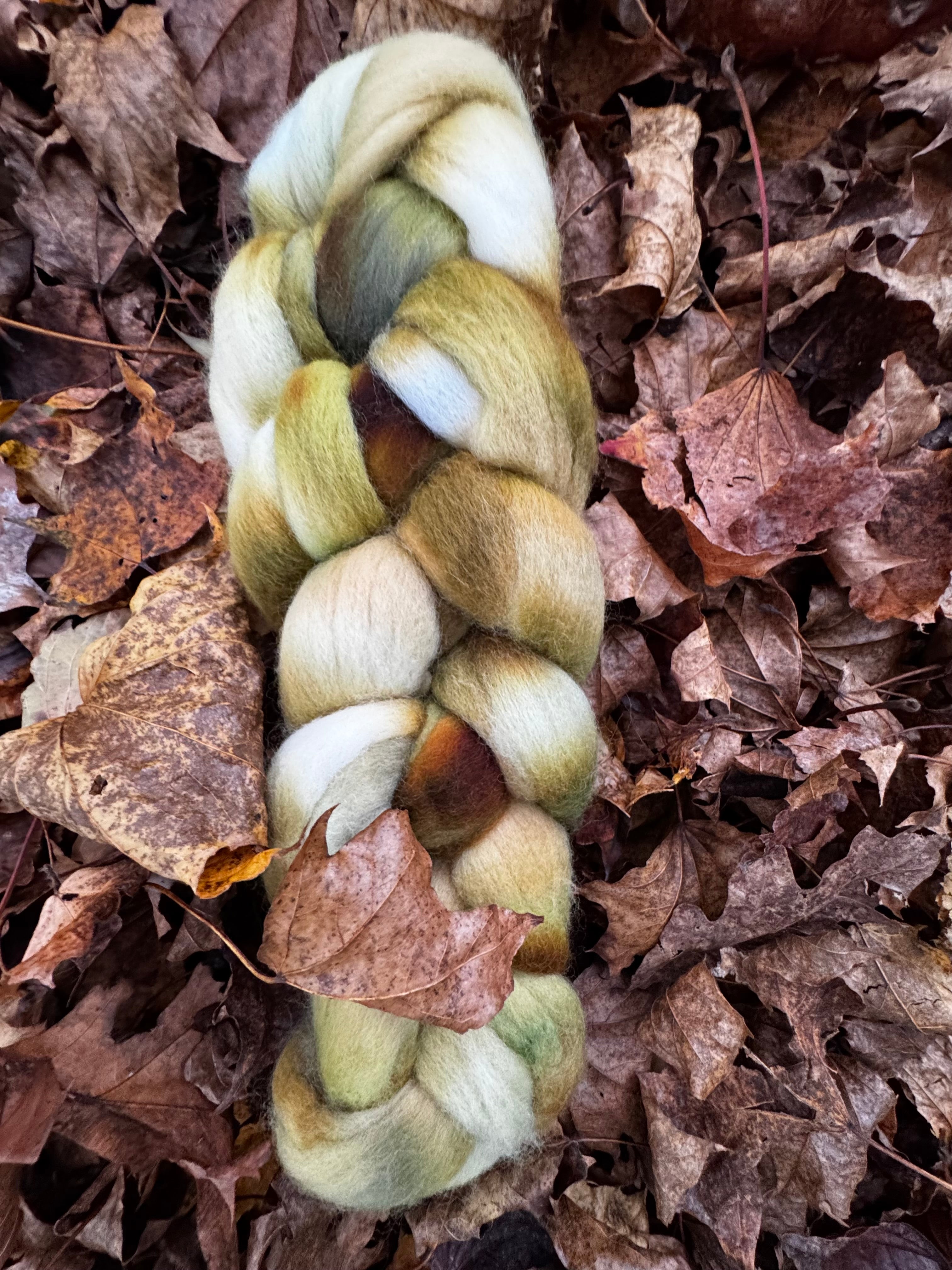 Safe Haven in Autumn No. 6 Dark Foliage